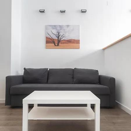 Exclusivos Lofts En Plaza Del Ayuntamiento 公寓 瓦伦西亚