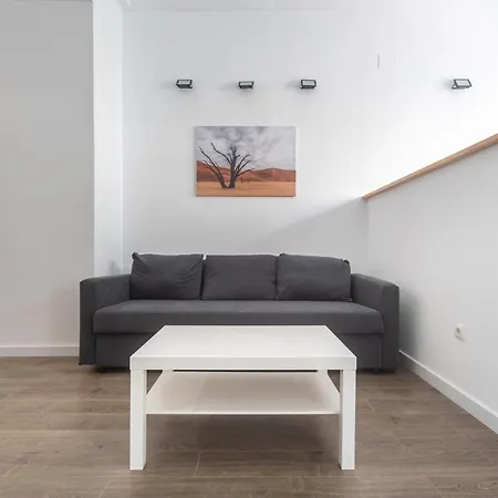 公寓 Exclusivos Lofts En Plaza Del Ayuntamiento